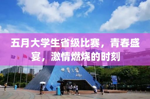 五月大学生省级比赛，青春盛宴，激情燃烧的时刻
