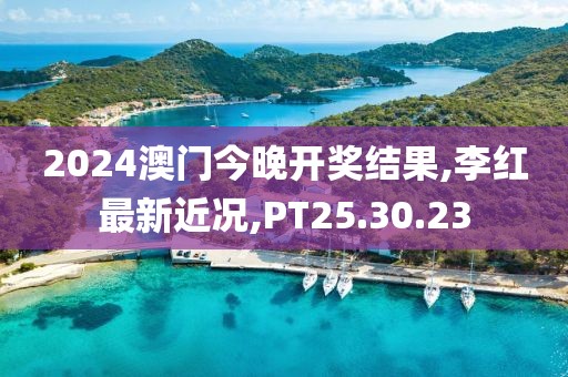 2024澳门今晚开奖结果,李红最新近况,PT25.30.23