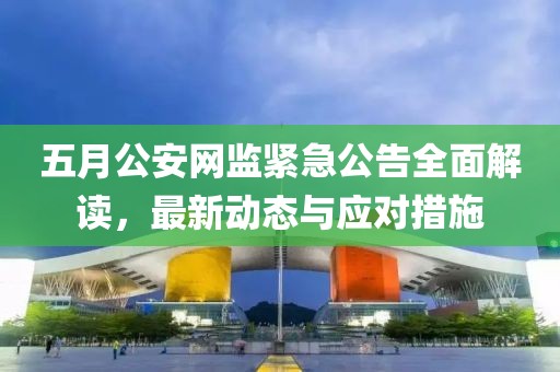 五月公安网监紧急公告全面解读，最新动态与应对措施
