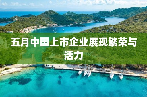 五月中国上市企业展现繁荣与活力