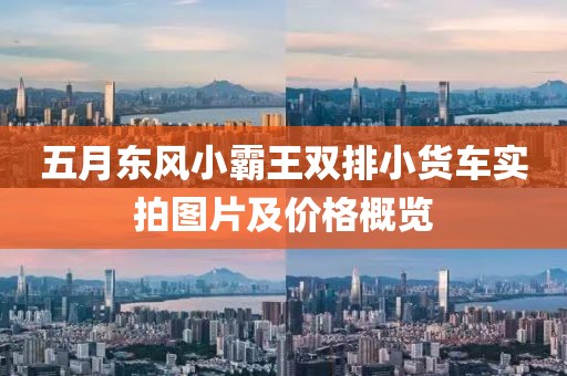五月东风小霸王双排小货车实拍图片及价格概览