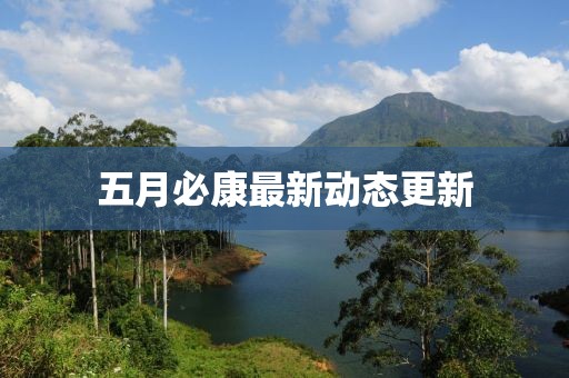 五月必康最新动态更新