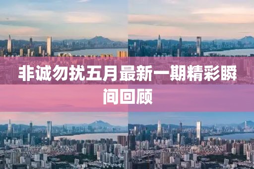 非诚勿扰五月最新一期精彩瞬间回顾