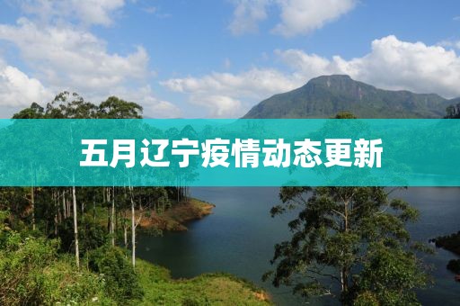 五月辽宁疫情动态更新