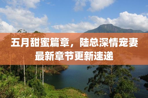 五月甜蜜篇章，陆总深情宠妻最新章节更新速递