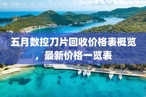 五月数控刀片回收价格表概览，最新价格一览表