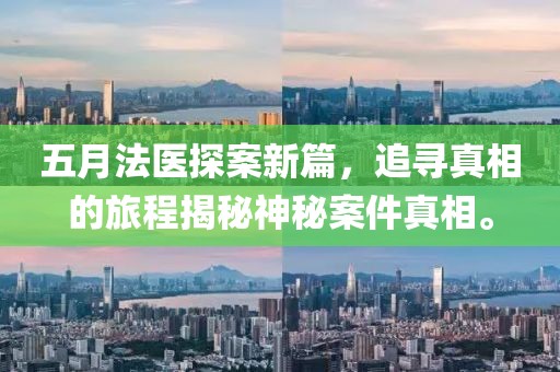 五月法医探案新篇，追寻真相的旅程揭秘神秘案件真相。