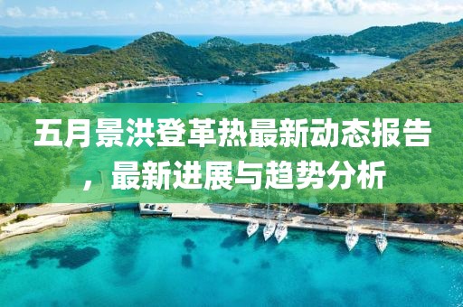 五月景洪登革热最新动态报告，最新进展与趋势分析