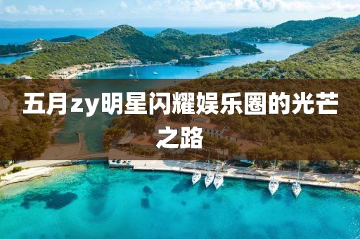 五月zy明星闪耀娱乐圈的光芒之路
