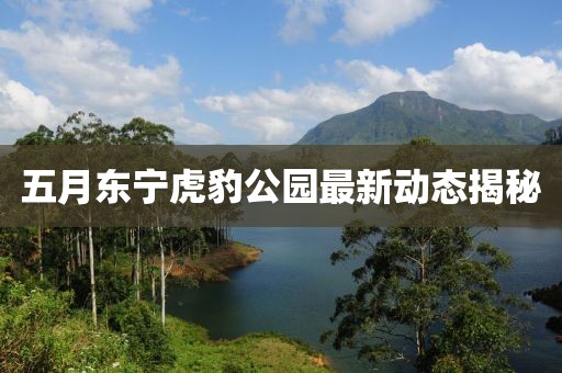 五月东宁虎豹公园最新动态揭秘