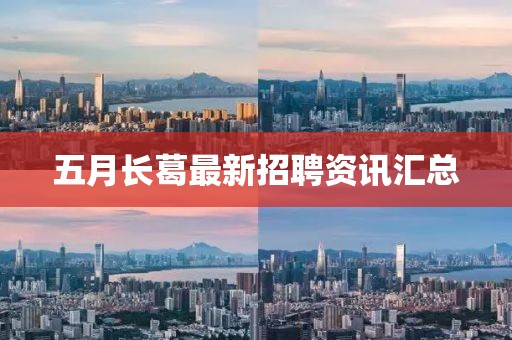 五月长葛最新招聘资讯汇总
