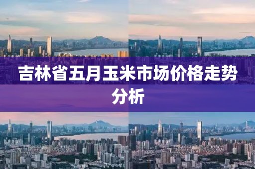 吉林省五月玉米市场价格走势分析