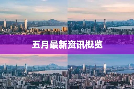 五月最新资讯概览