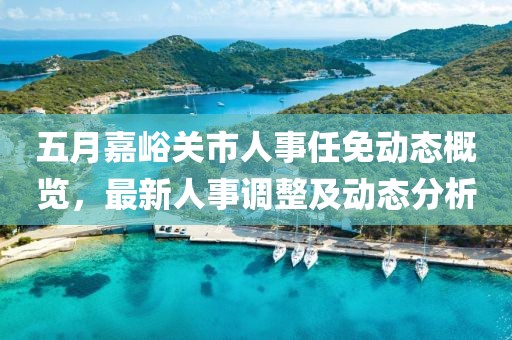 五月嘉峪关市人事任免动态概览，最新人事调整及动态分析