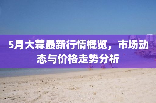 5月大蒜最新行情概览，市场动态与价格走势分析