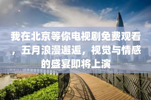 我在北京等你电视剧免费观看，五月浪漫邂逅，视觉与情感的盛宴即将上演