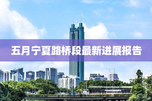 五月宁夏路桥段最新进展报告