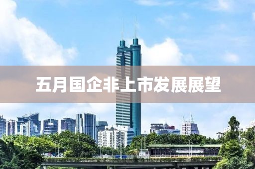 五月国企非上市发展展望