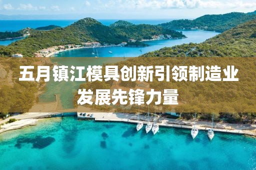 五月镇江模具创新引领制造业发展先锋力量