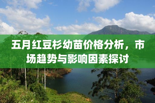 五月红豆杉幼苗价格分析，市场趋势与影响因素探讨