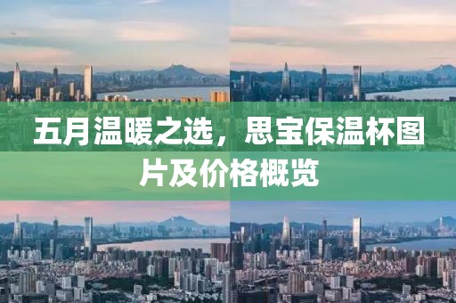 五月温暖之选，思宝保温杯图片及价格概览