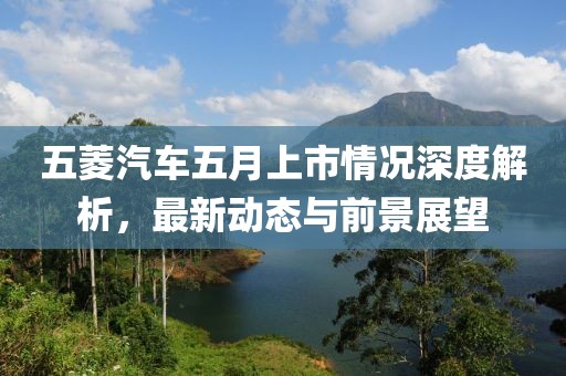 五菱汽车五月上市情况深度解析，最新动态与前景展望