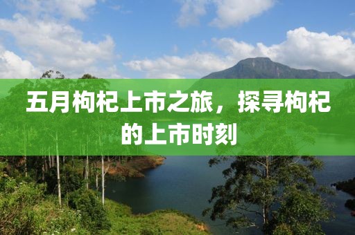 五月枸杞上市之旅，探寻枸杞的上市时刻