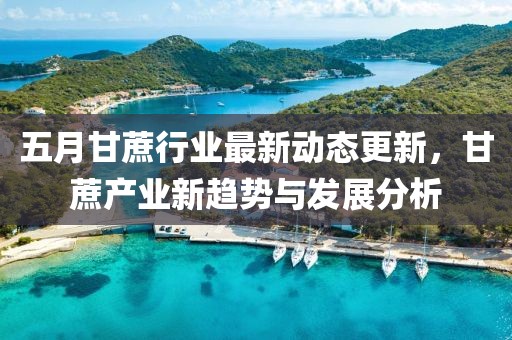 五月甘蔗行业最新动态更新，甘蔗产业新趋势与发展分析