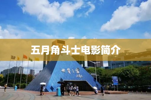 五月角斗士电影简介