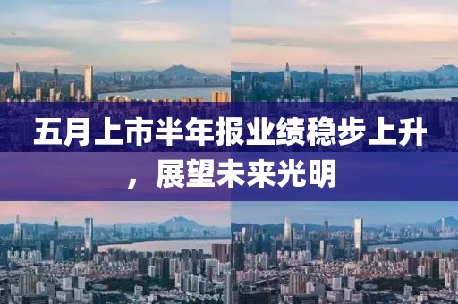 五月上市半年报业绩稳步上升，展望未来光明