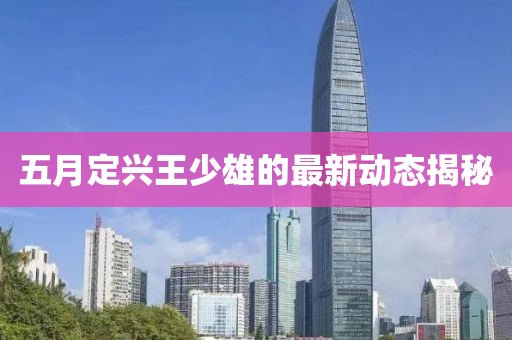 五月定兴王少雄的最新动态揭秘