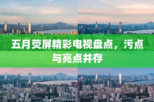五月荧屏精彩电视盘点，污点与亮点并存