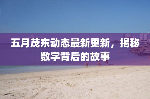 五月茂东动态最新更新，揭秘数字背后的故事
