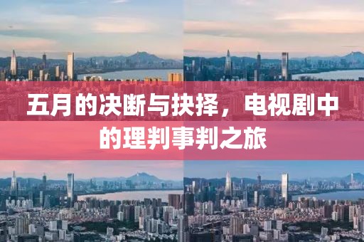 五月的决断与抉择，电视剧中的理判事判之旅