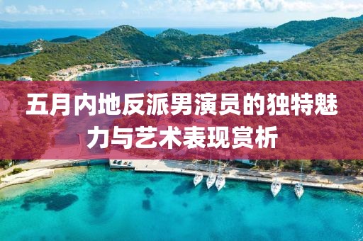 五月内地反派男演员的独特魅力与艺术表现赏析
