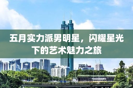 五月实力派男明星，闪耀星光下的艺术魅力之旅
