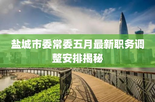 盐城市委常委五月最新职务调整安排揭秘