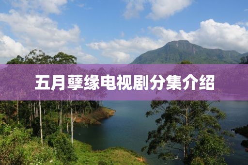 五月孽缘电视剧分集介绍