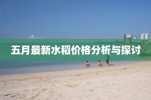 五月最新水稻价格分析与探讨
