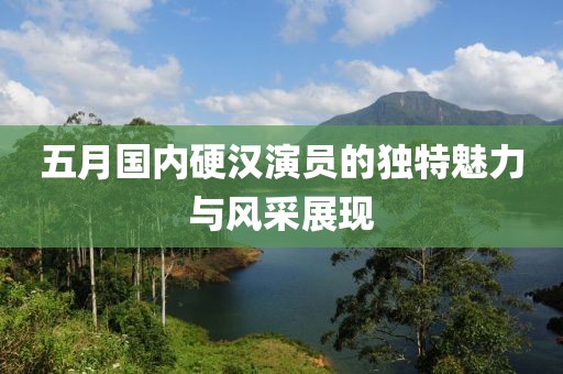 五月国内硬汉演员的独特魅力与风采展现