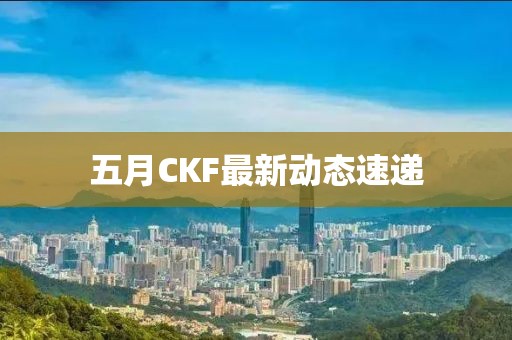 五月CKF最新动态速递