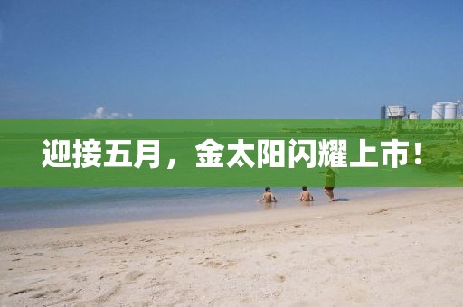 迎接五月，金太阳闪耀上市！