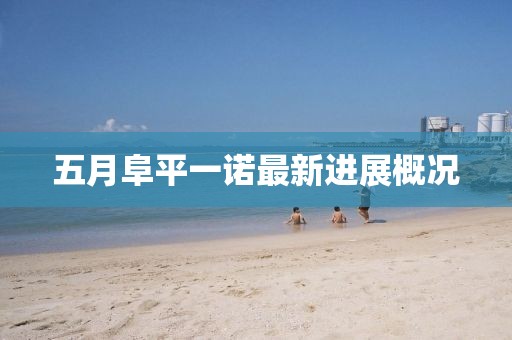 五月阜平一诺最新进展概况