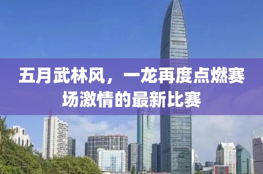 五月武林风，一龙再度点燃赛场激情的最新比赛