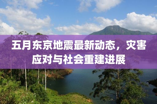 五月东京地震最新动态，灾害应对与社会重建进展