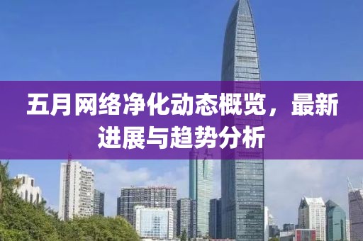 五月网络净化动态概览，最新进展与趋势分析