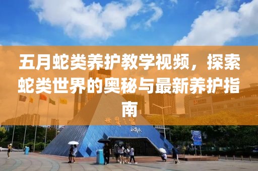 五月蛇类养护教学视频，探索蛇类世界的奥秘与最新养护指南
