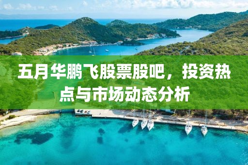 五月华鹏飞股票股吧，投资热点与市场动态分析