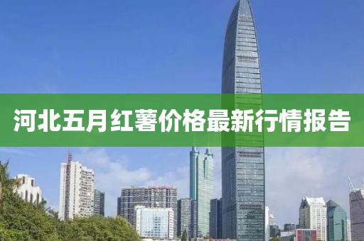 河北五月红薯价格最新行情报告