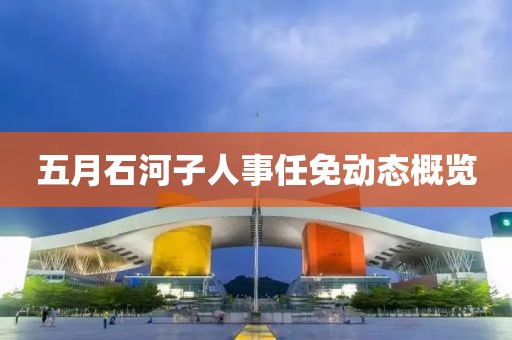 五月石河子人事任免动态概览
